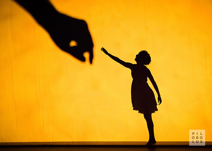 Shadowland - Magisches Schattentheater und Multimedia Show des Pilobolus Dance Theatre vom 19.-31.12.2023 im Deutschen Theater (©Foto: Ian Douglas) 